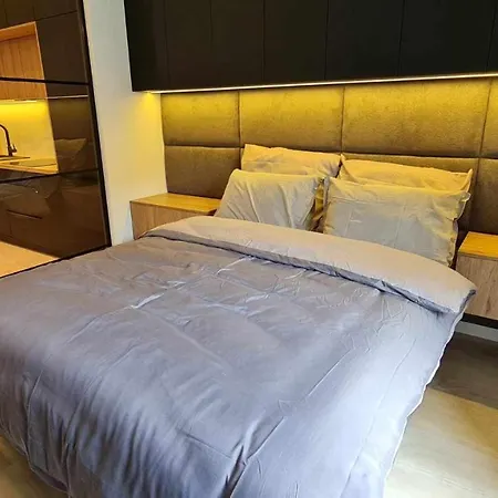 Zygmuntowski Apartamento *