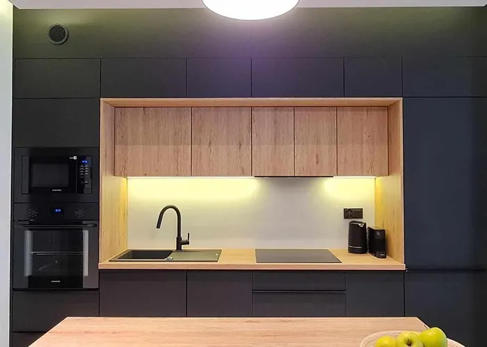 Apartment Zygmuntowski